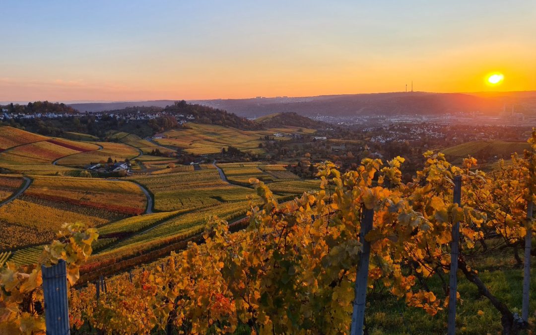 Ein Abend mit dem Weingut Schnaitmann